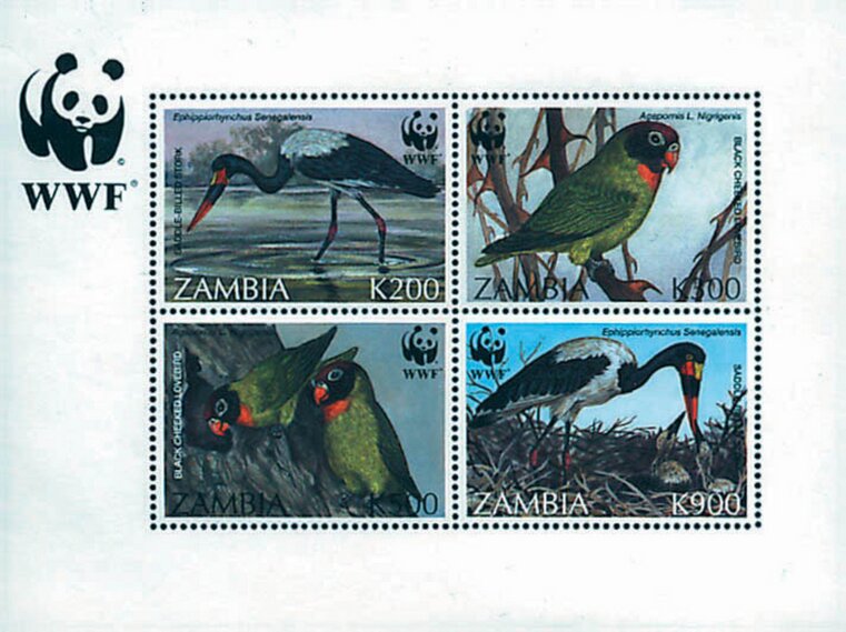 WWF Birds