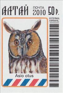 Stamp, Asio otus, Cinderellas,  , Animals (Fauna), Birds, Owls