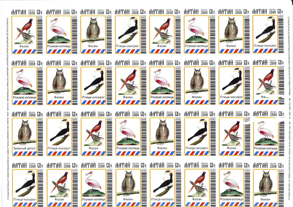Birds