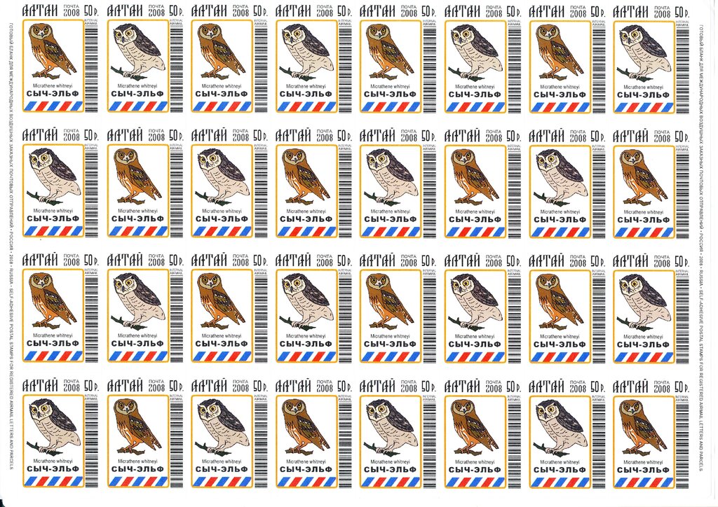 Birds