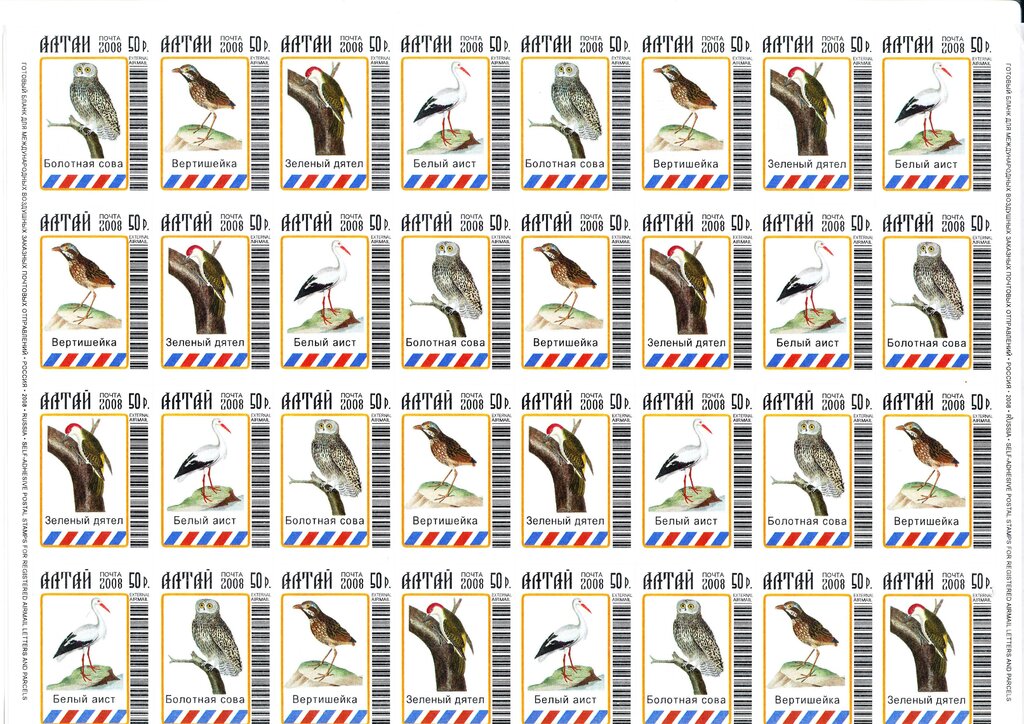 Birds