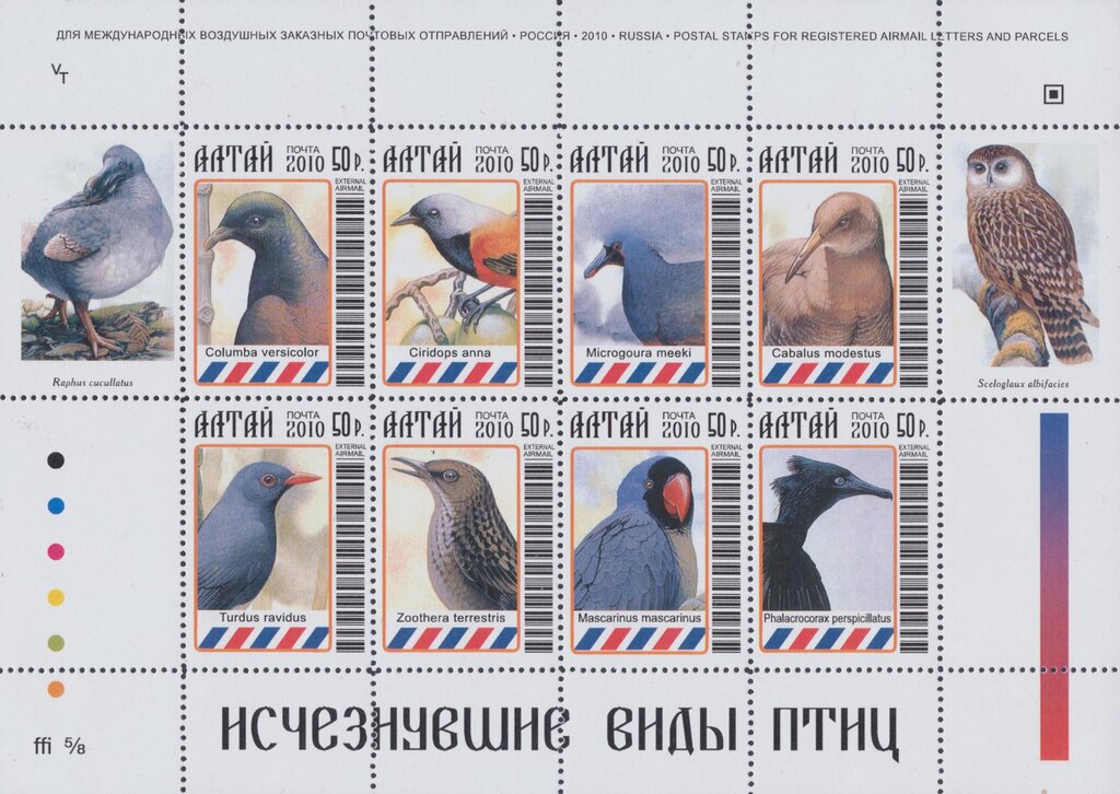 Birds