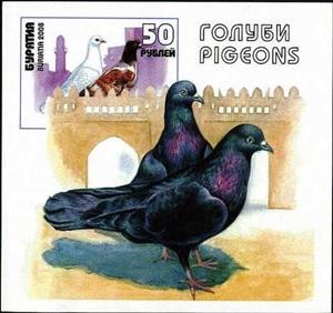 Souvenir Sheet, Birds, Cinderellas,  , Animals (Fauna), Birds