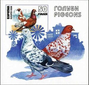 Souvenir Sheet, Birds, Cinderellas,  , Animals (Fauna), Birds