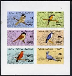 Birds