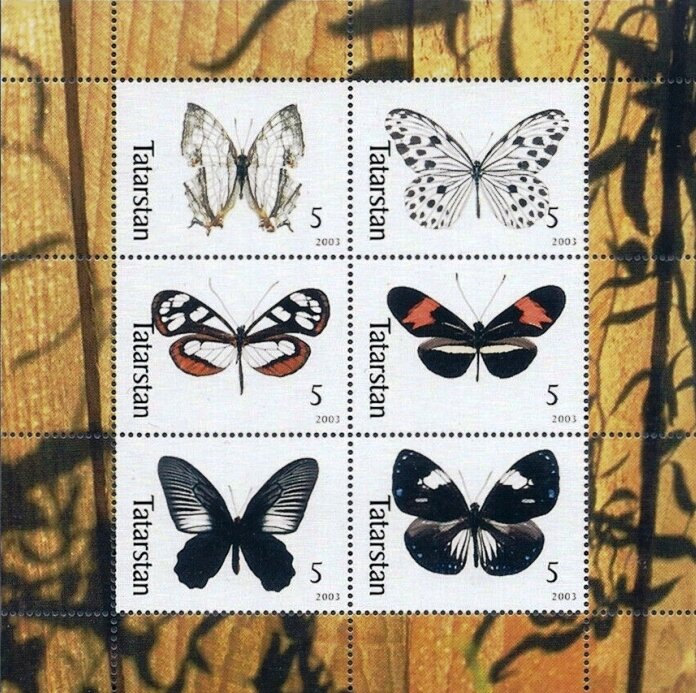 Butterflies