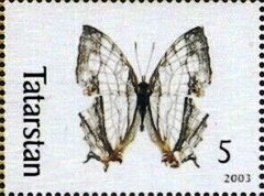 Stamp, Butterflies, Cinderellas,  , Animals (Fauna), Butterflies, Insects