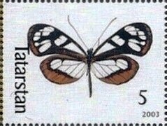 Butterflies