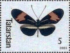 Butterflies