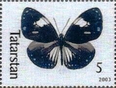 Butterflies