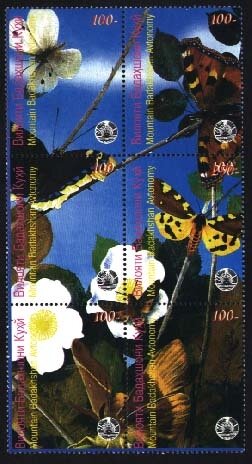 Butterflies