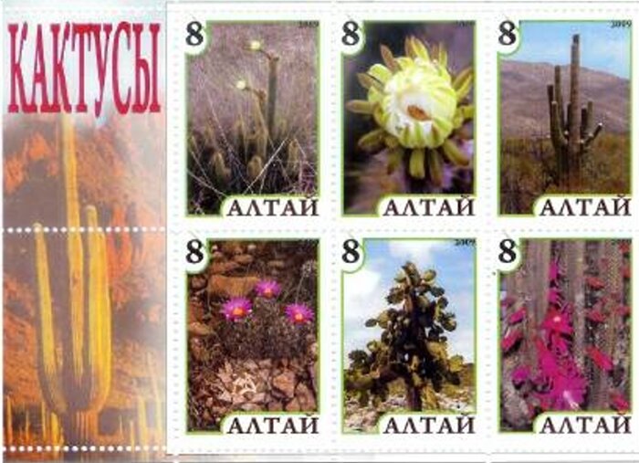 Cacti