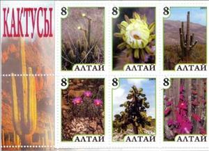 Mini Sheet, Cacti, Cinderellas,  , Cacti, Flowers, Plants (Flora)