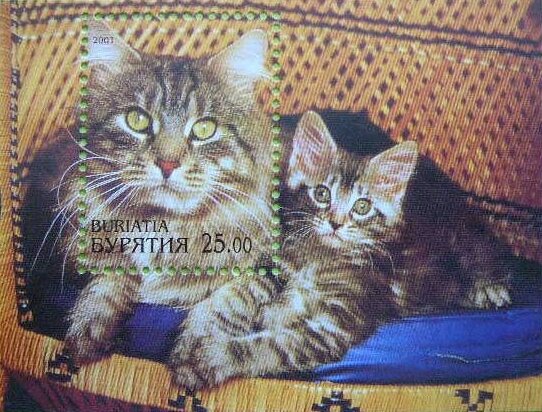 Cats
