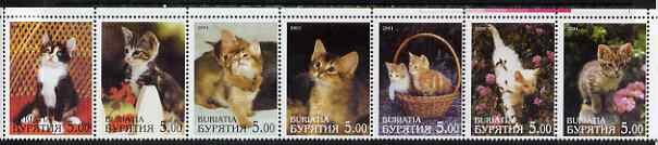 Cats