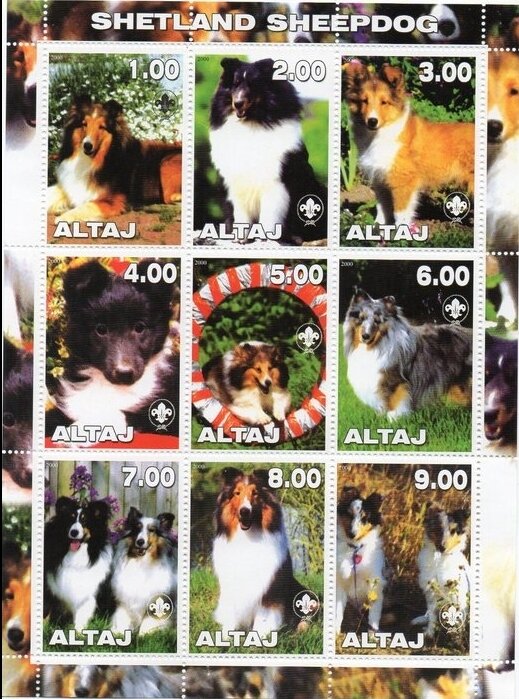 Dogs