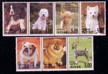 Dogs