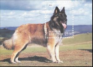 Souvenir Sheet, Dogs, Cinderellas,  , Animals (Fauna), Dogs, Mammals