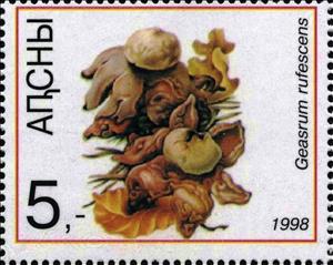 Stamp, Geasrum rufescens, Cinderellas,  , Mushrooms