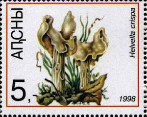 Stamp, Helvella crispa, Cinderellas,  , Mushrooms