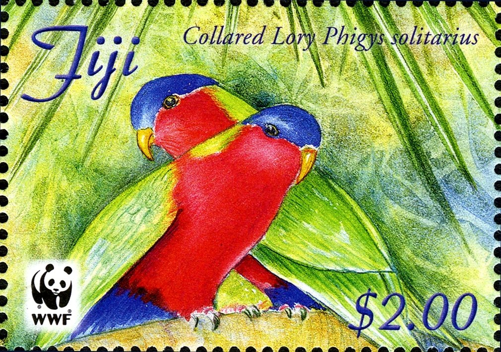 Collared Lory (Phigys solitarius)