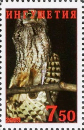 Owl