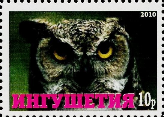 Owl