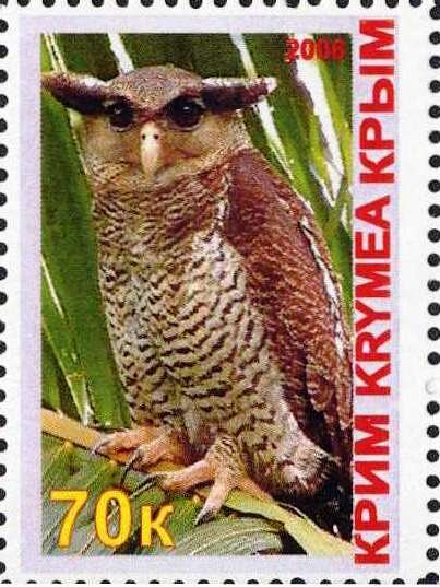 Owl