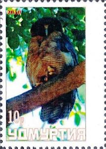 Stamp, Owl, Cinderellas,  , Animals (Fauna), Birds, Birds of Prey, Owls