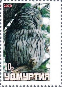 Stamp, Owl, Cinderellas,  , Animals (Fauna), Birds, Birds of Prey, Owls
