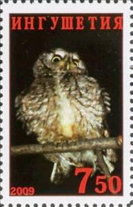 Stamp, Owl, Cinderellas,  , Animals (Fauna), Birds, Birds of Prey, Owls