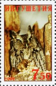 Stamp, Owl, Cinderellas,  , Animals (Fauna), Birds, Birds of Prey, Owls