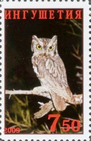 Owl