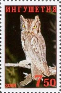 Stamp, Owl, Cinderellas,  , Animals (Fauna), Birds, Birds of Prey, Owls