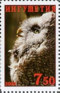 Stamp, Owl, Cinderellas,  , Animals (Fauna), Birds, Birds of Prey, Owls