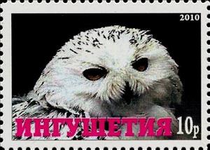 Stamp, Owl, Cinderellas,  , Animals (Fauna), Birds, Birds of Prey, Owls