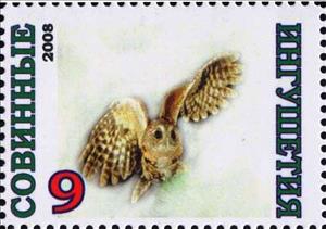 Stamp, Owl, Cinderellas,  , Animals (Fauna), Birds, Birds of Prey, Owls