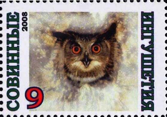 Owl