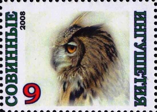 Owl