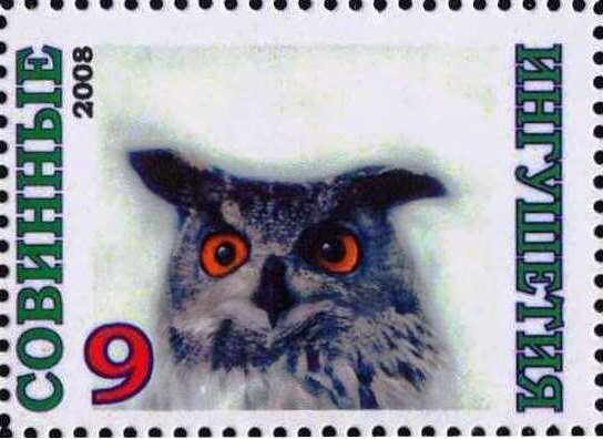 Owl