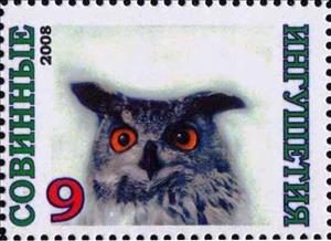 Stamp, Owl, Cinderellas,  , Animals (Fauna), Birds, Birds of Prey, Owls