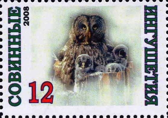 Owl