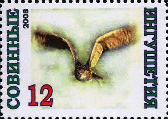 Owl