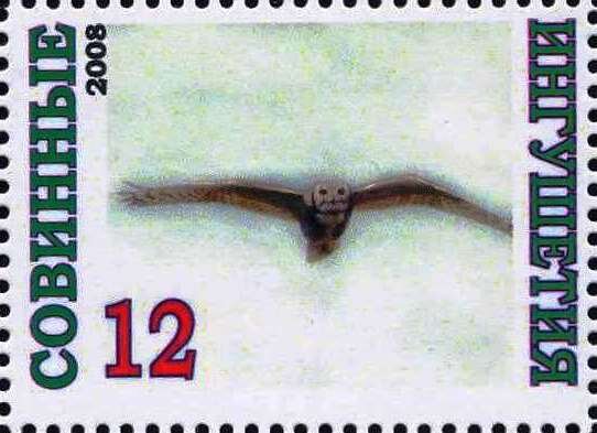 Owl