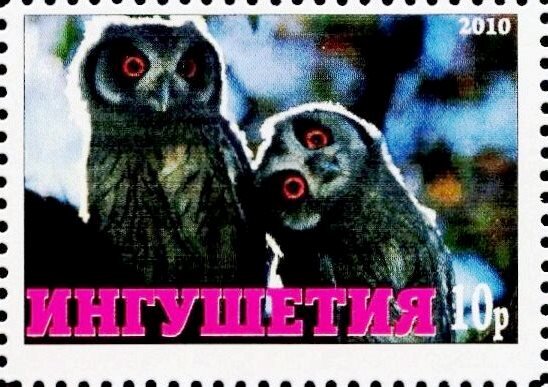 Owl