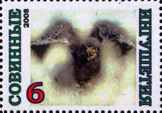 Owl