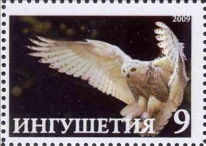 Stamp, Owl, Cinderellas,  , Animals (Fauna), Birds, Birds of Prey, Owls