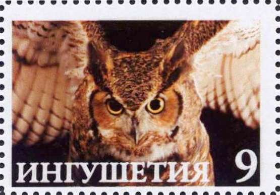 Owl
