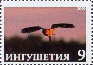 Stamp, Owl, Cinderellas,  , Animals (Fauna), Birds, Birds of Prey, Owls