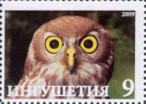 Stamp, Owl, Cinderellas,  , Animals (Fauna), Birds, Birds of Prey, Owls